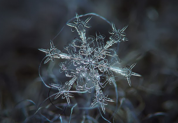 Single Snowflakes - Macro Photography - Minnesota - Snow