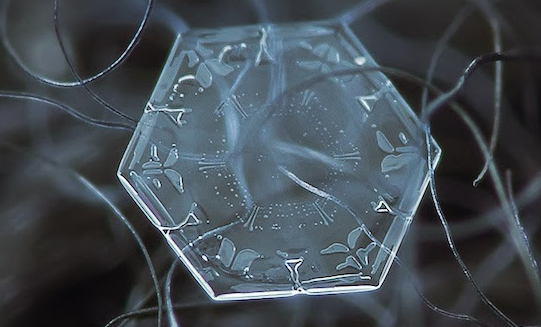 Single Snowflakes - Macro Photography - Minnesota - Designs 