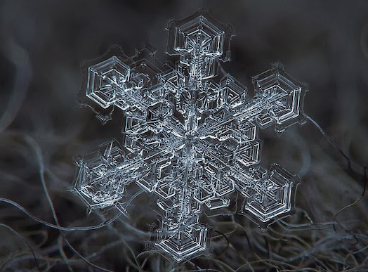 Single Snowflakes - Macro Photography - Minnesota - 2013 