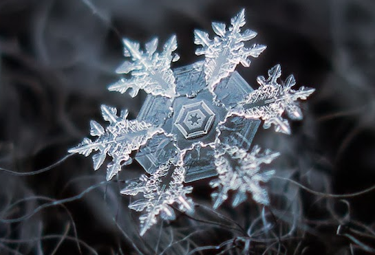 Single Snowflakes - Macro Photography - Minnesota 