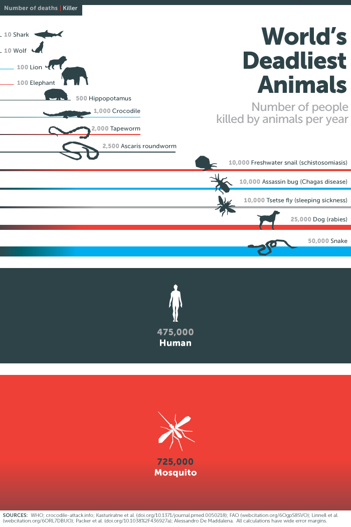 Biggest-Killers-Animals