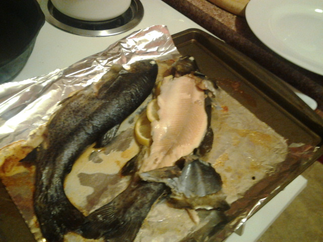 trout cooked