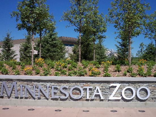 Minnesota Zoo Nature-based playground