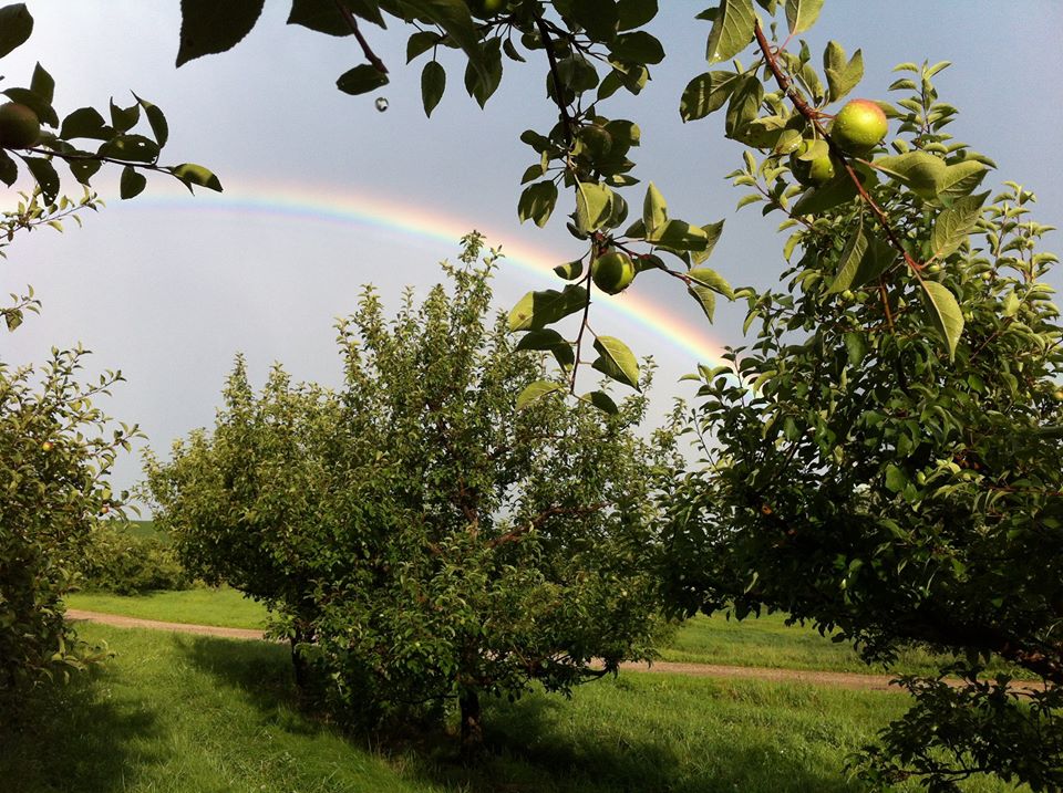 Nelson's Apple Farm Orchard and Rainbow