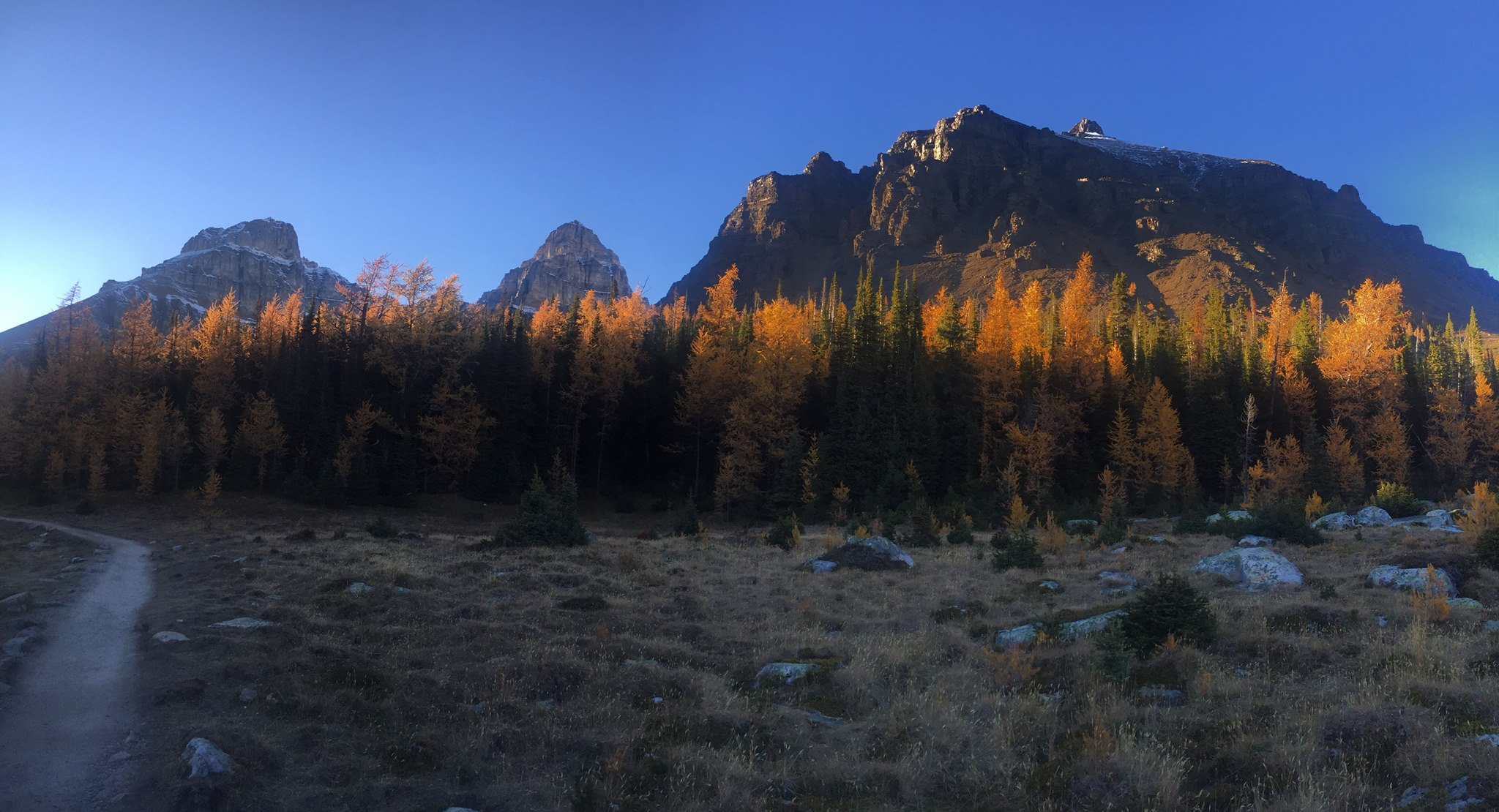 Mountain View in Canmore