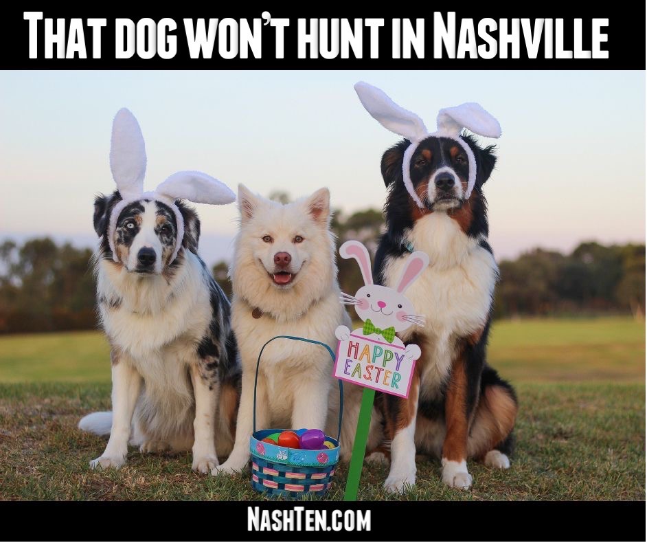 That Dog Won't Hunt in Nashville