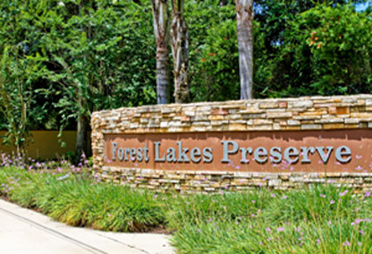 forest lake preserve