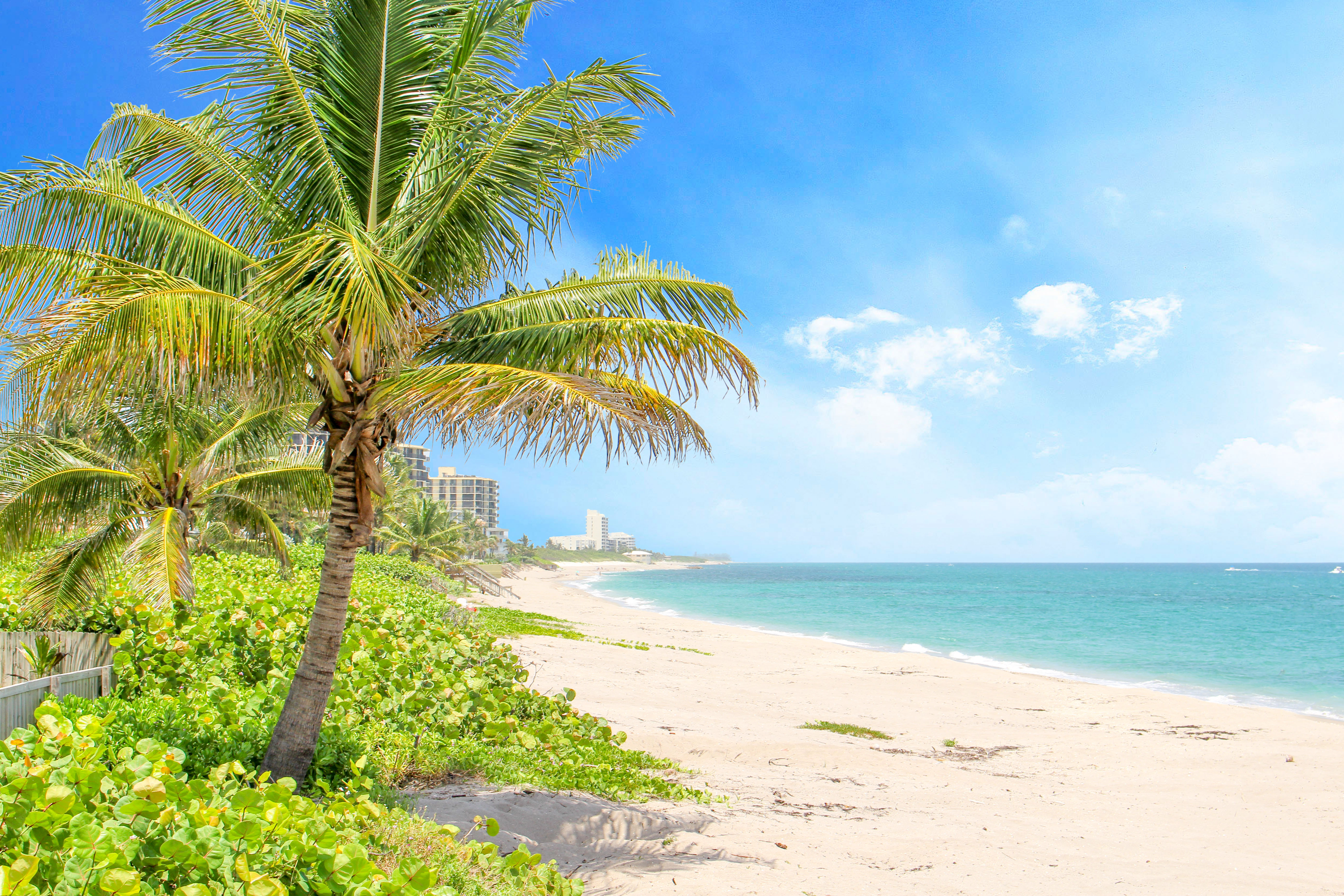 Fun Outdoor Ideas This Spring in Palm Beach County
