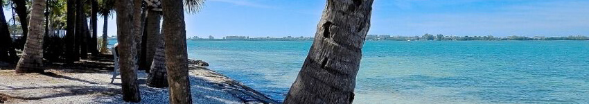 Bird Key Homes For Sale | Bird Key Real Estate