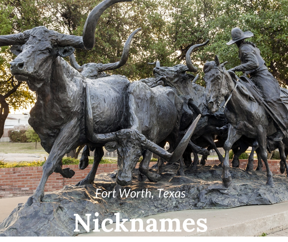 Texas Longhorns - Rich in history, steeped in tradition. What is