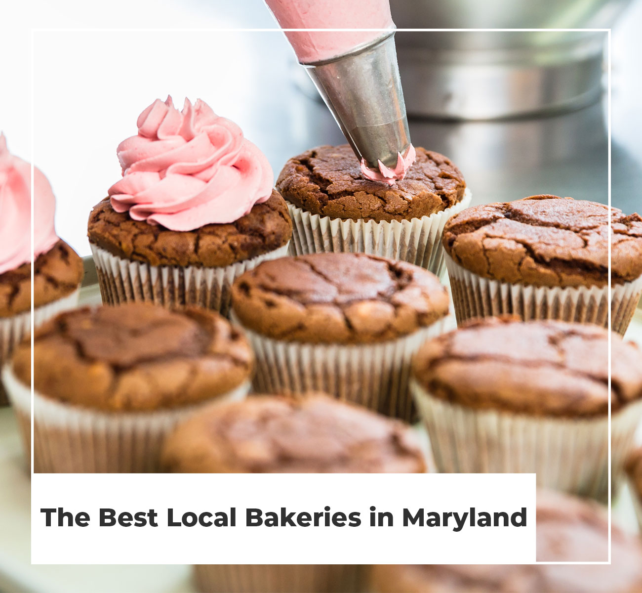 The Best Local Bakeries In Maryland