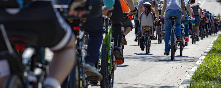 Ocean to Bay Bike Tour 2022