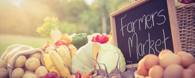 Check Out Ocean Pines, Maryland Farmers Market
