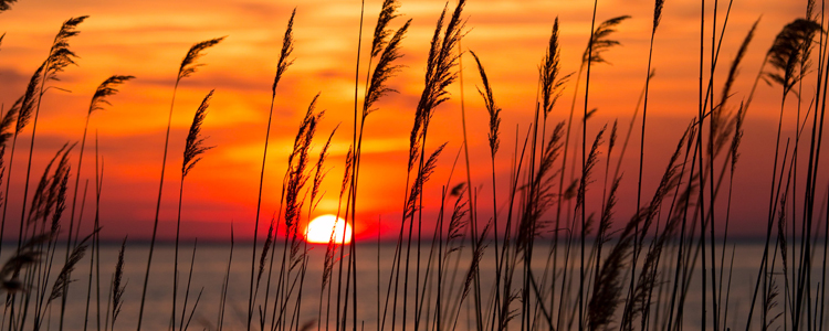 Breathtaking Sunrise In Ocean Pine, MD