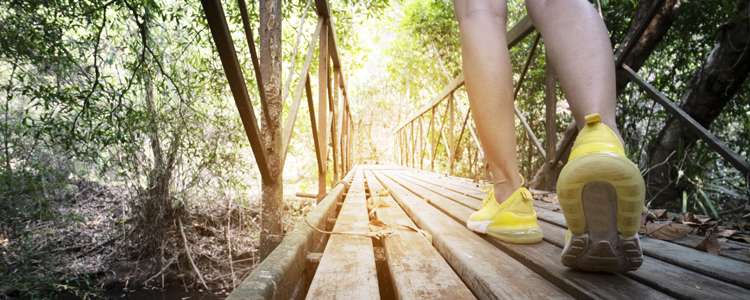 Hike Through The Wooded Parks In Ocean Pines, Maryland