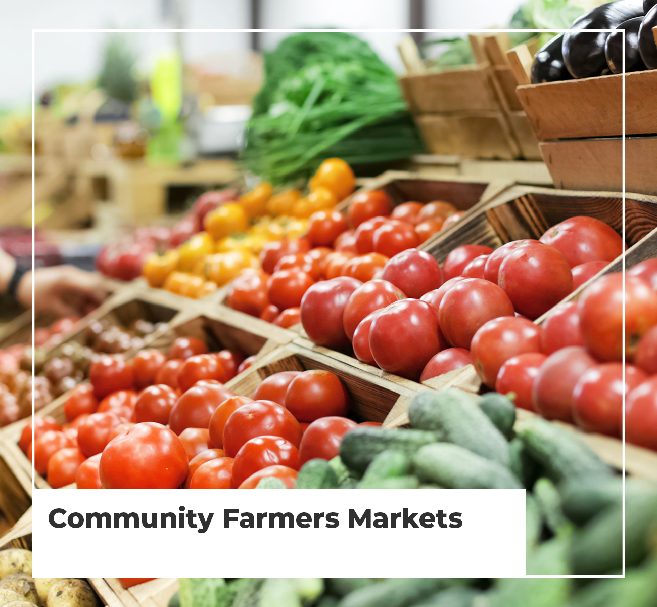 Community Farmers Markets - Main Image
