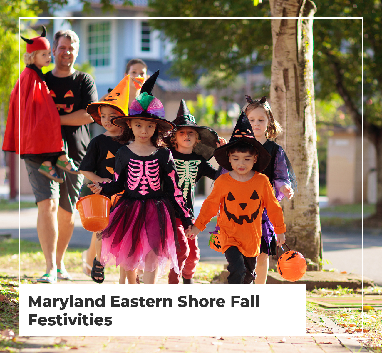 Maryland Eastern Shore Fall Activities - Main Image