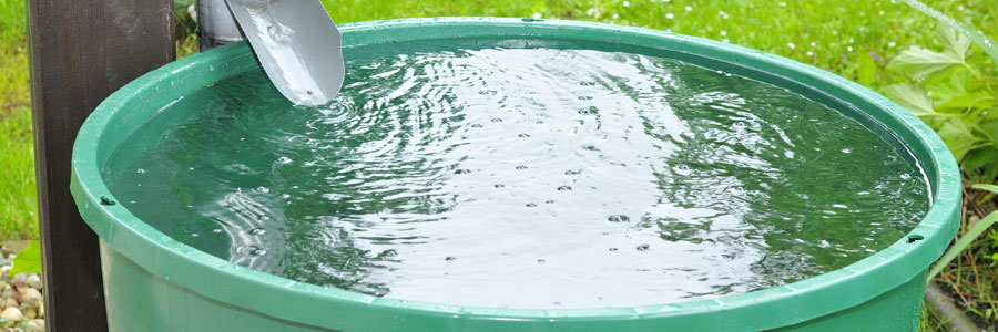 Ways To Start Saving Money By Conserving Water Both Inside & Out