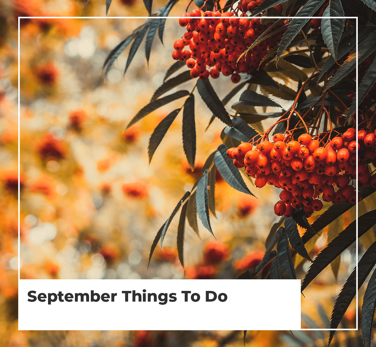 September Things To Do - Main Image