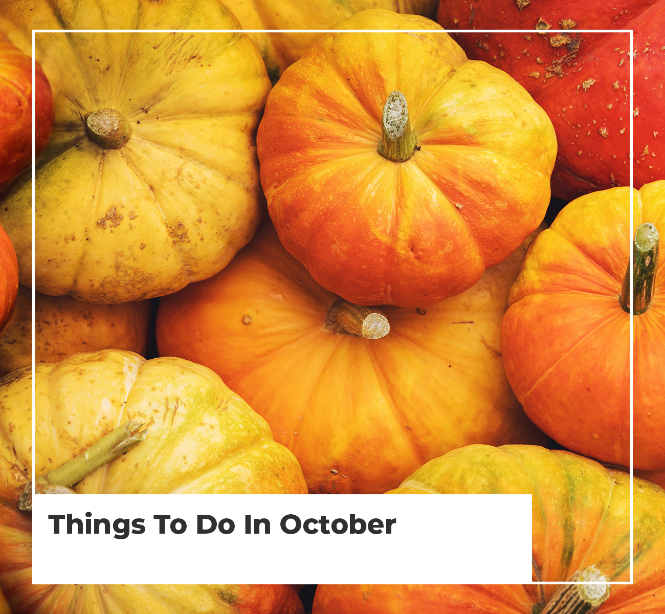 Things To Do In October - Main Image