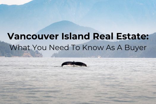 whale tail splashing out of the water depicting beauty of vancouver island real estate
