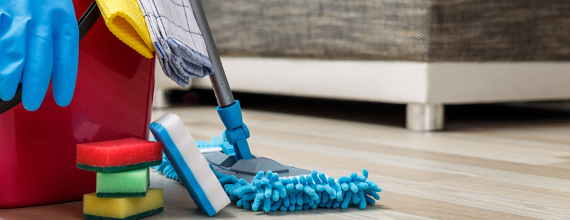 Cleaning Services Vendor