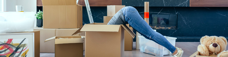 Moving & Storage Vendor