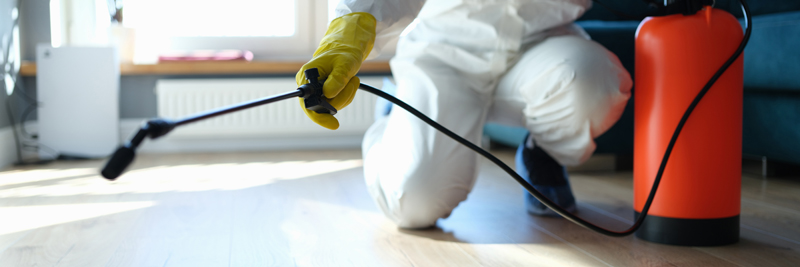 Termite & Pest Control Vendor