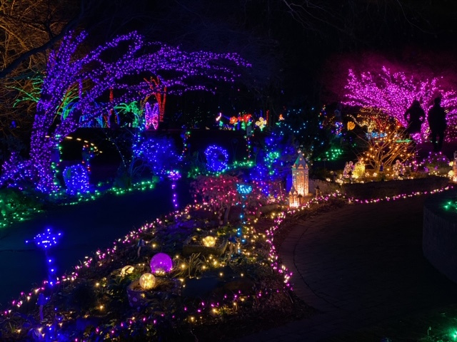 Tacky Christmas Lights in Northern Virginia & Fairfax