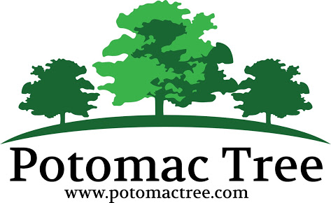 Potomac Tree and Shrub Care Logo