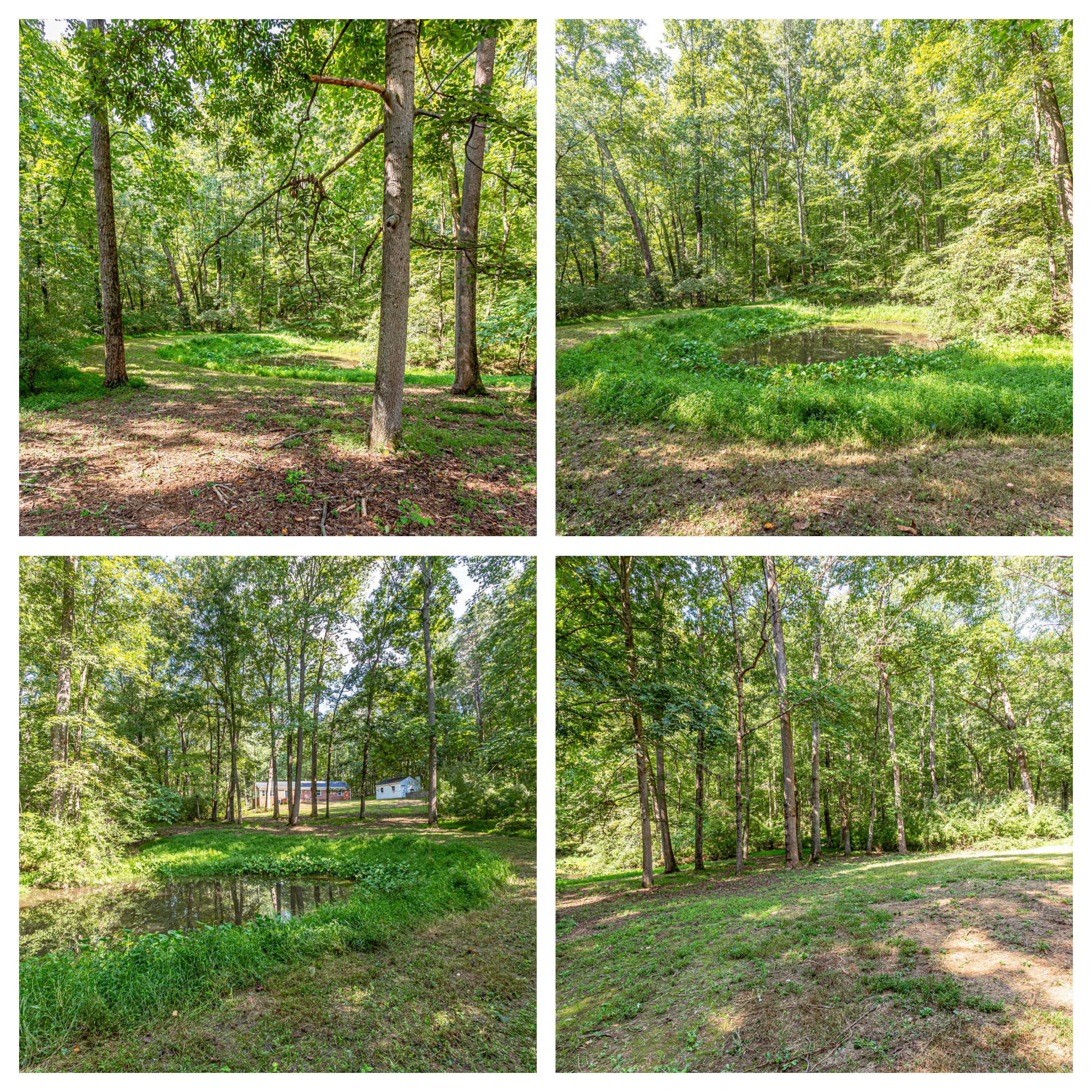 584 Aaron Mountain Rd, Castleton- Yard and Pond