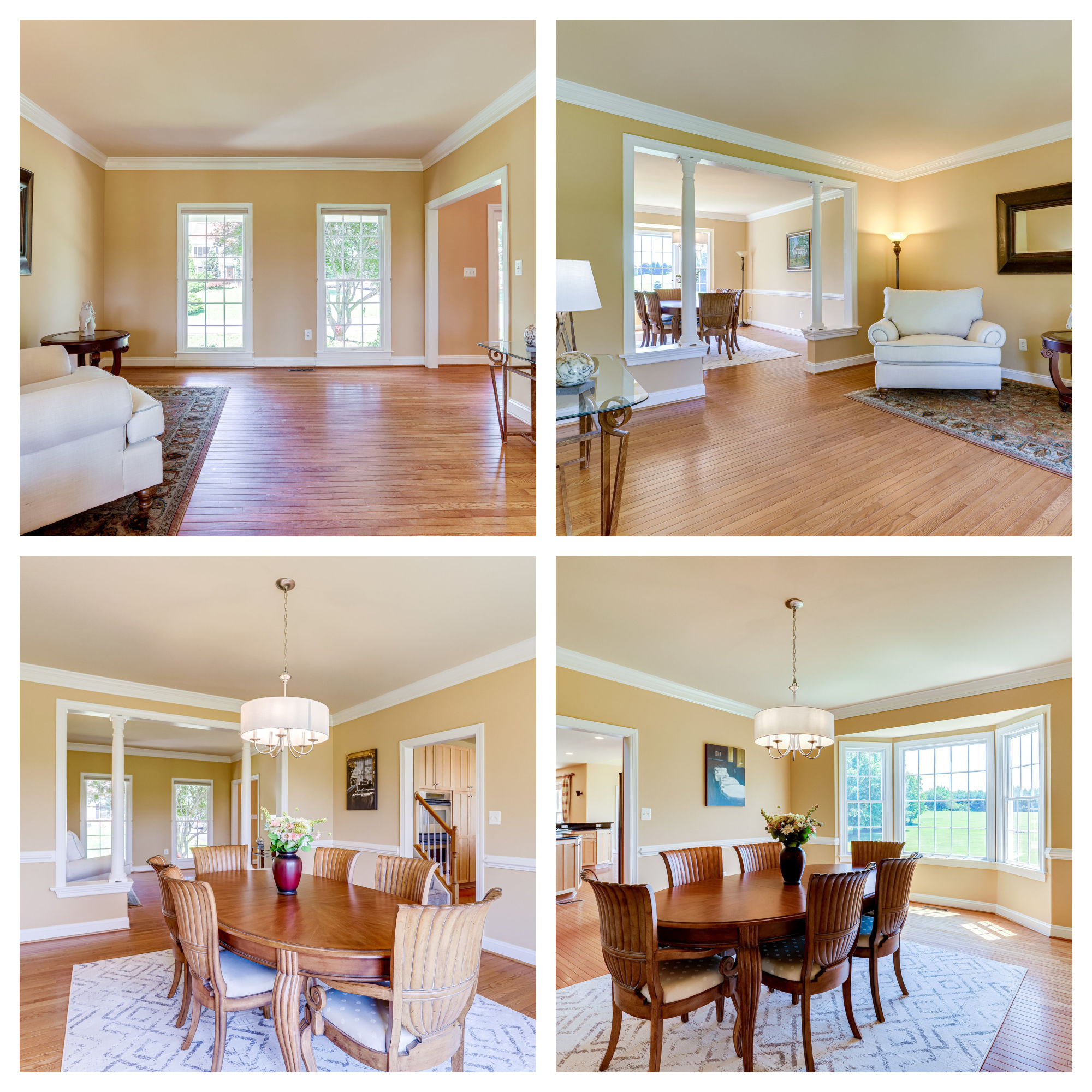 42259 Big Springs Ct, Leesburg- Living and Dining Room