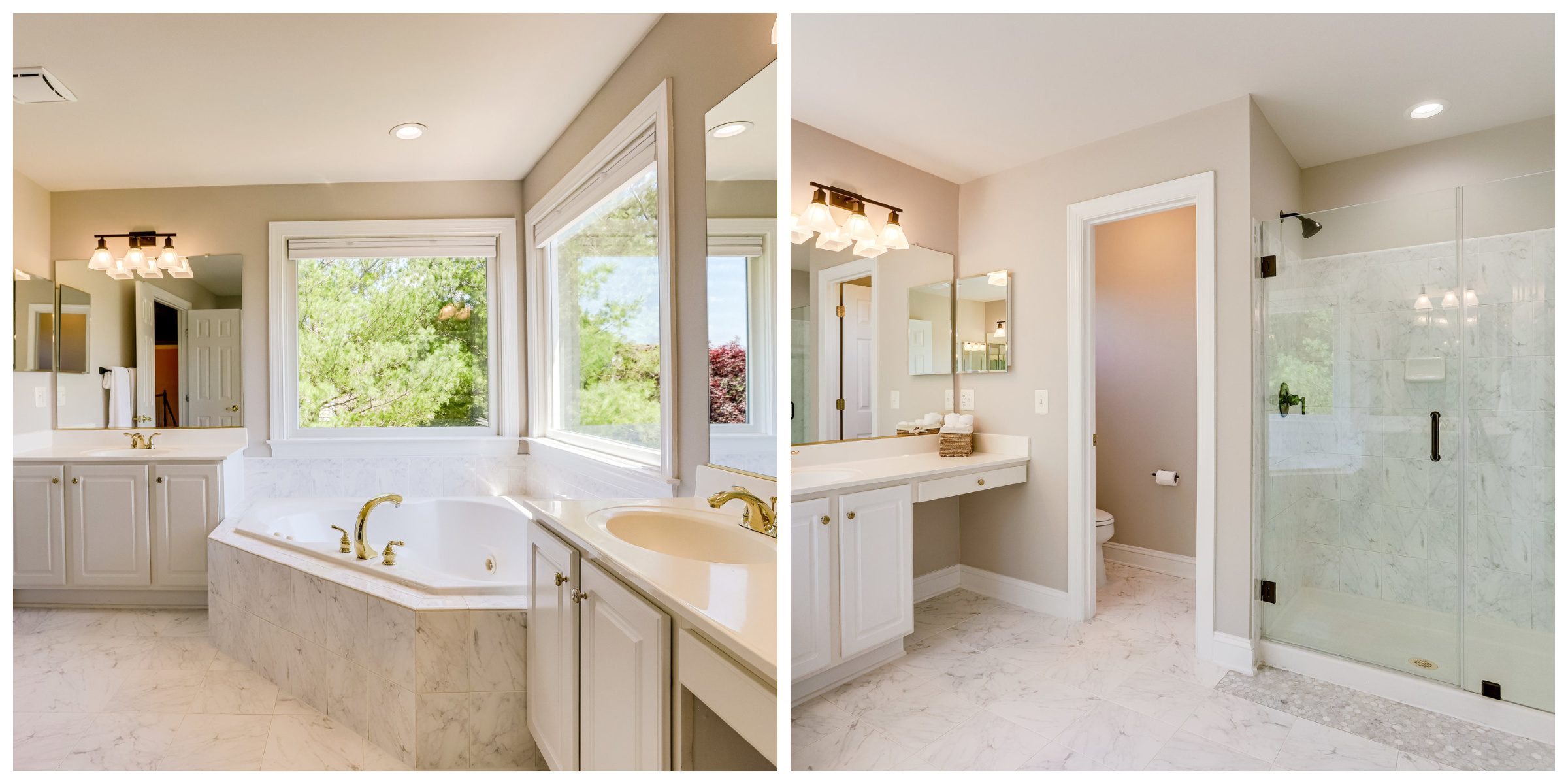 42259 Big Springs Ct, Leesburg- Primary Bath