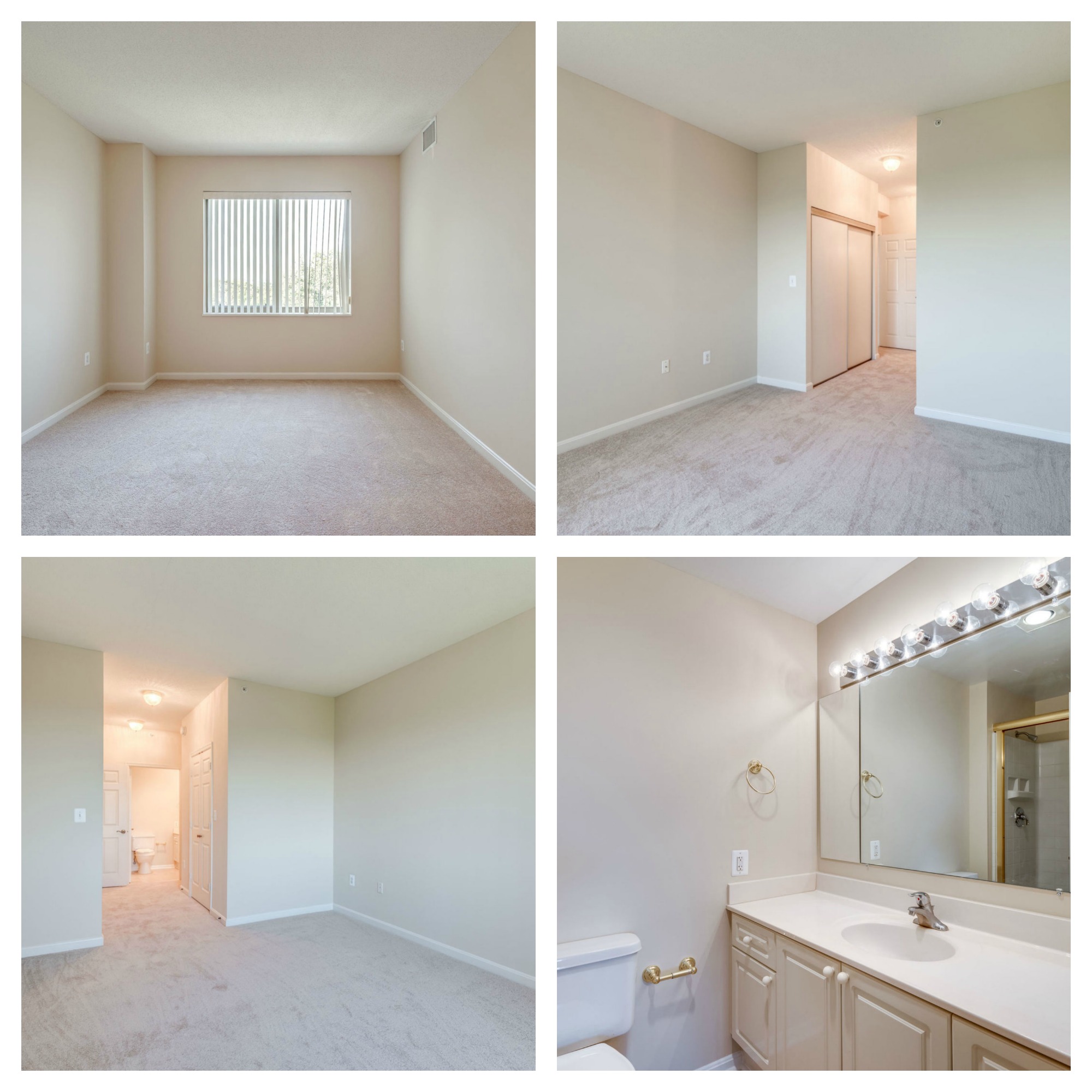 19365 Cypress Ridge Ter_#905_Lansdowne Woods_Master Suite