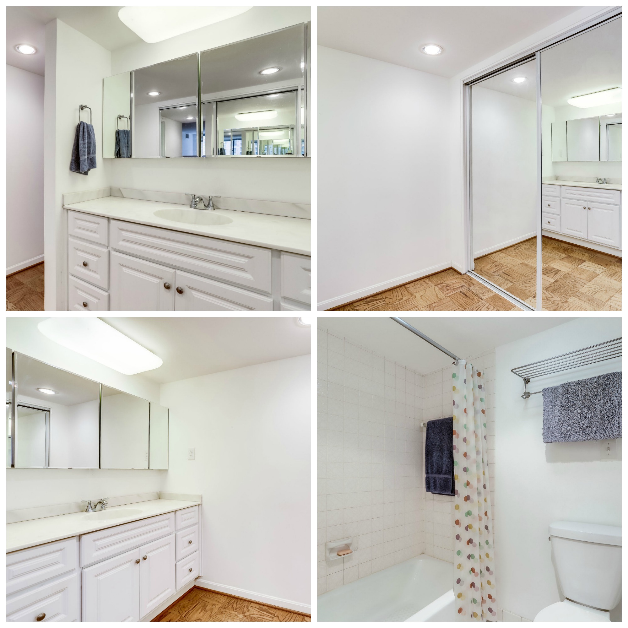 3800 Fairfax Dr #302 Arlington- Master Bathroom