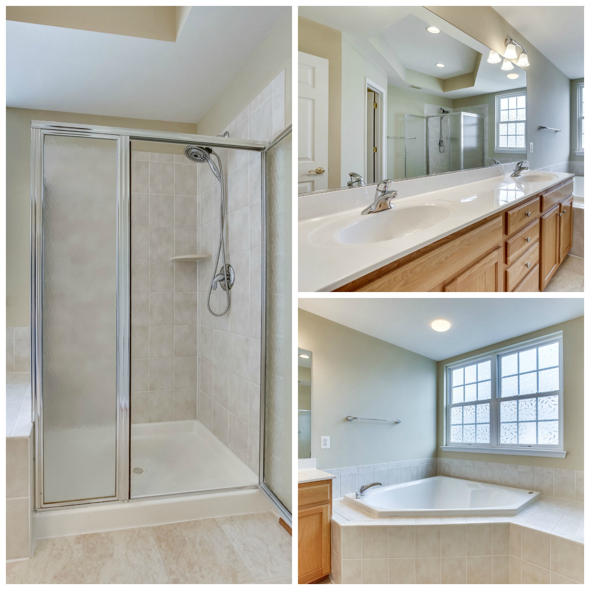 42494 Legacy Park Dr Brambleton - Master Bath