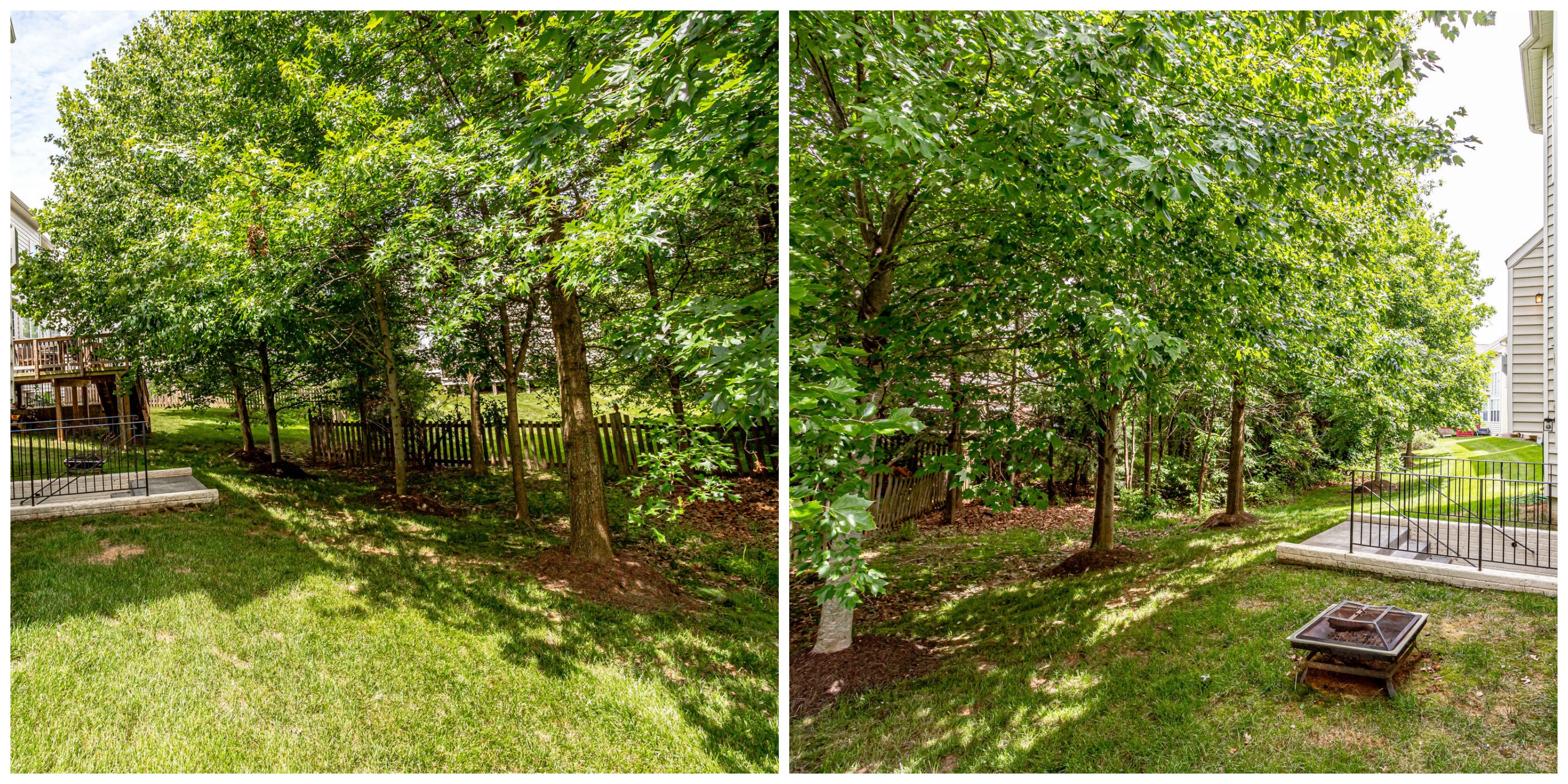 42914_Park_Brooke_Ct_Broadlands-Back_Yard