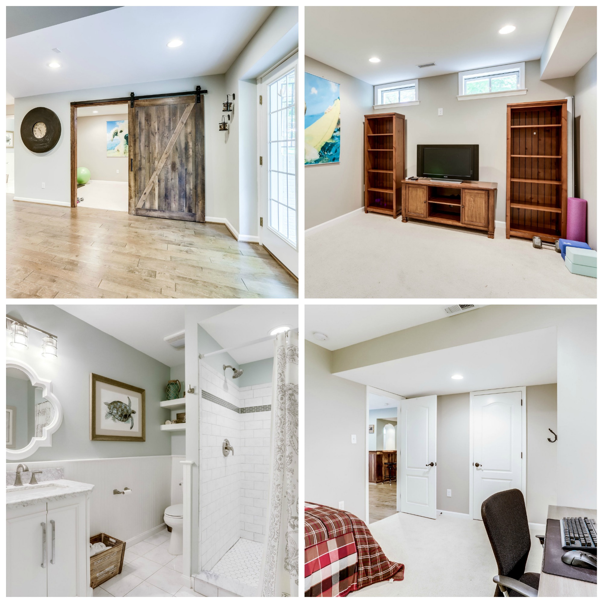 42914 Park Brooke Ct, Broadlands- Lower Level Dens and Bathroom