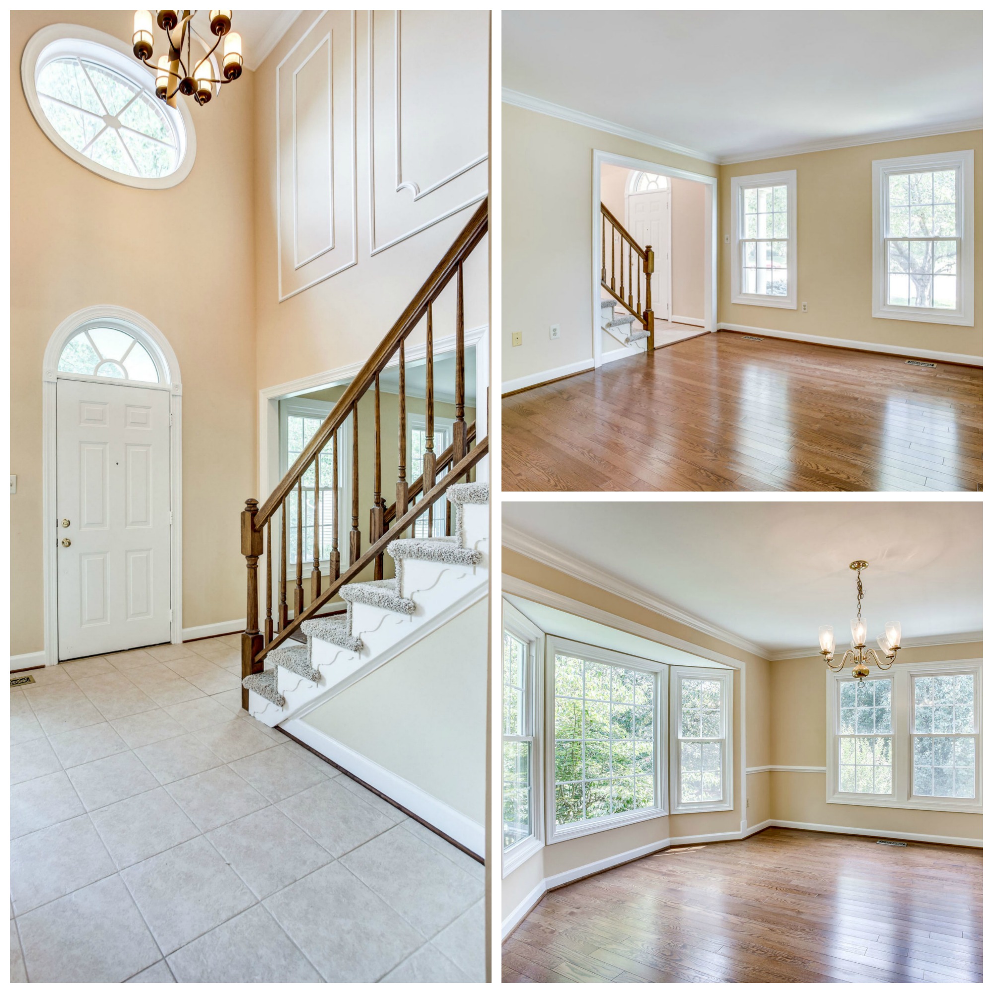 43459 Ridgeview Pl Ashburn Farm - Foyer, Living Room, and Dining Room