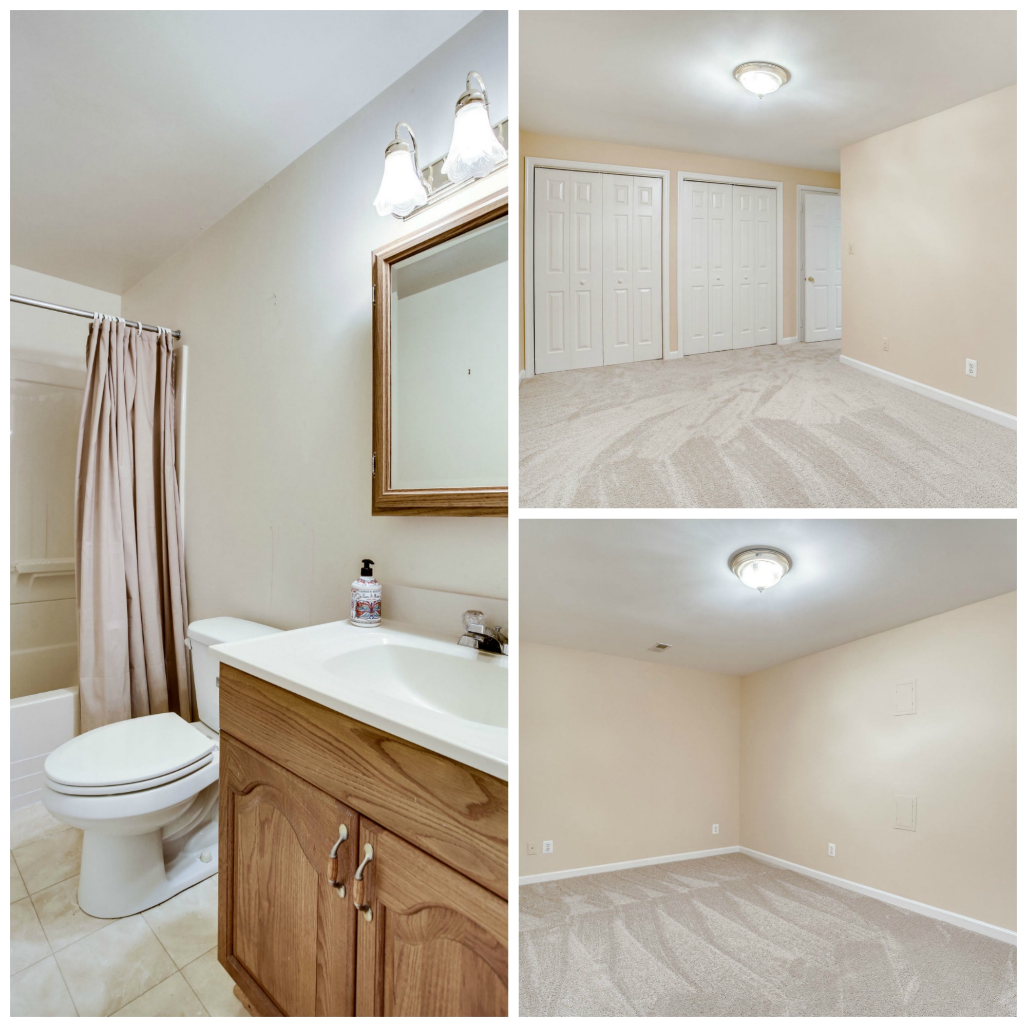 43459 Ridgeview Pl Ashburn Farm - Lower Level Bathroom and Den