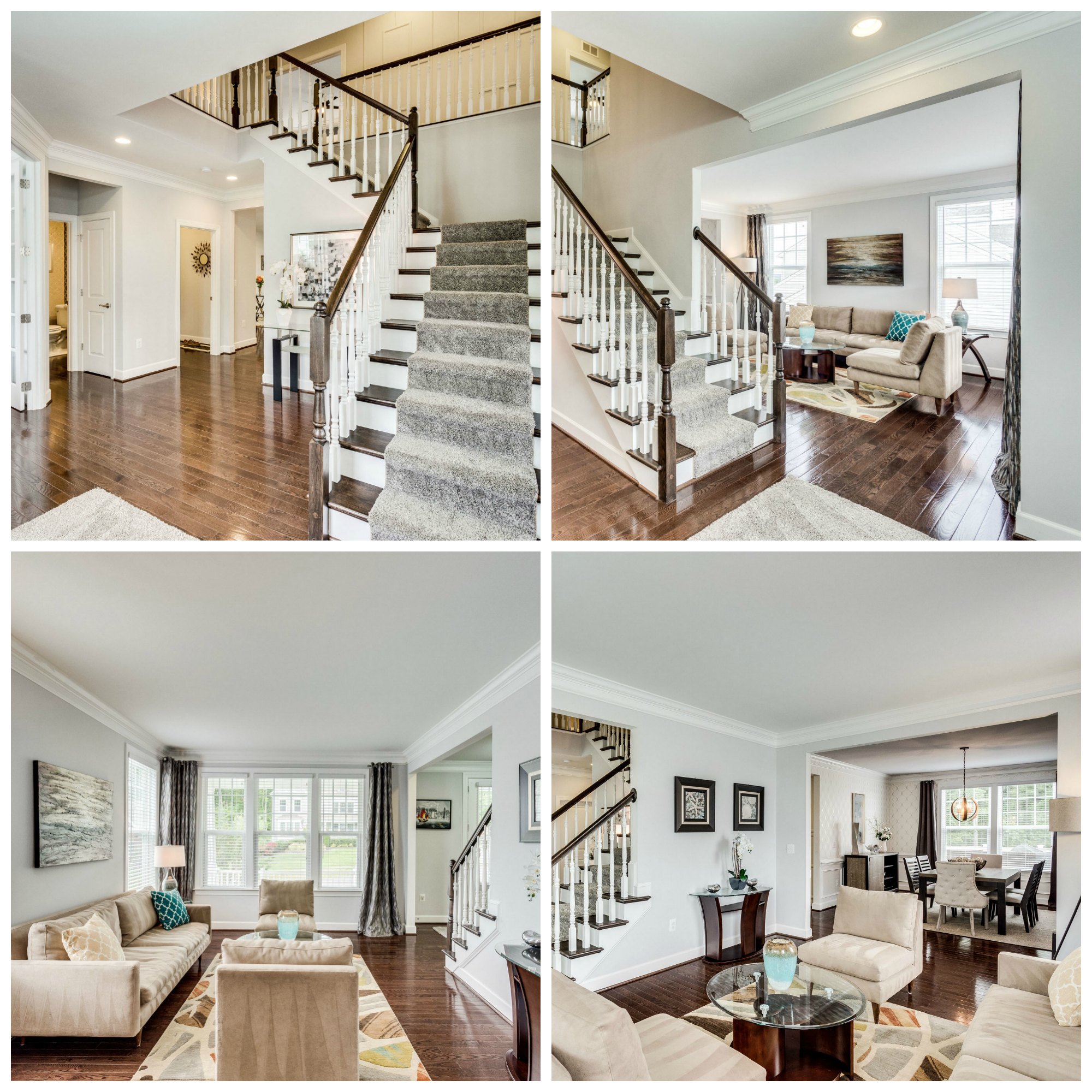 41684 Wakehurst Pl- Leesburg- Selma Estates- Foyer and Living Room