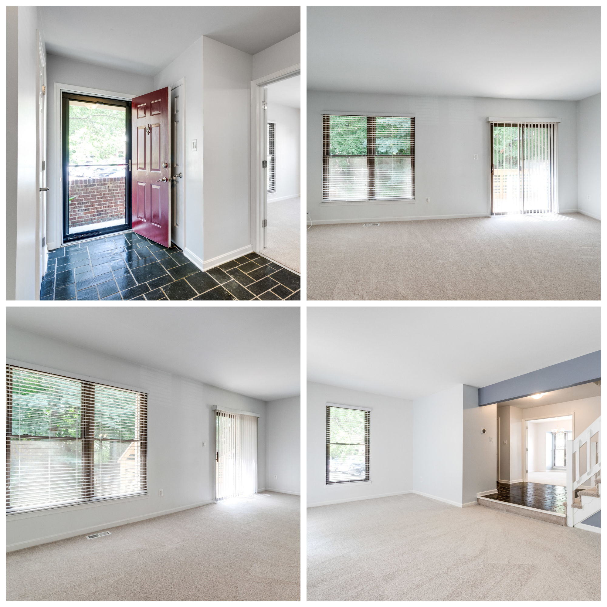 6623 Westbury Oaks Ct, Springfield- Living Room