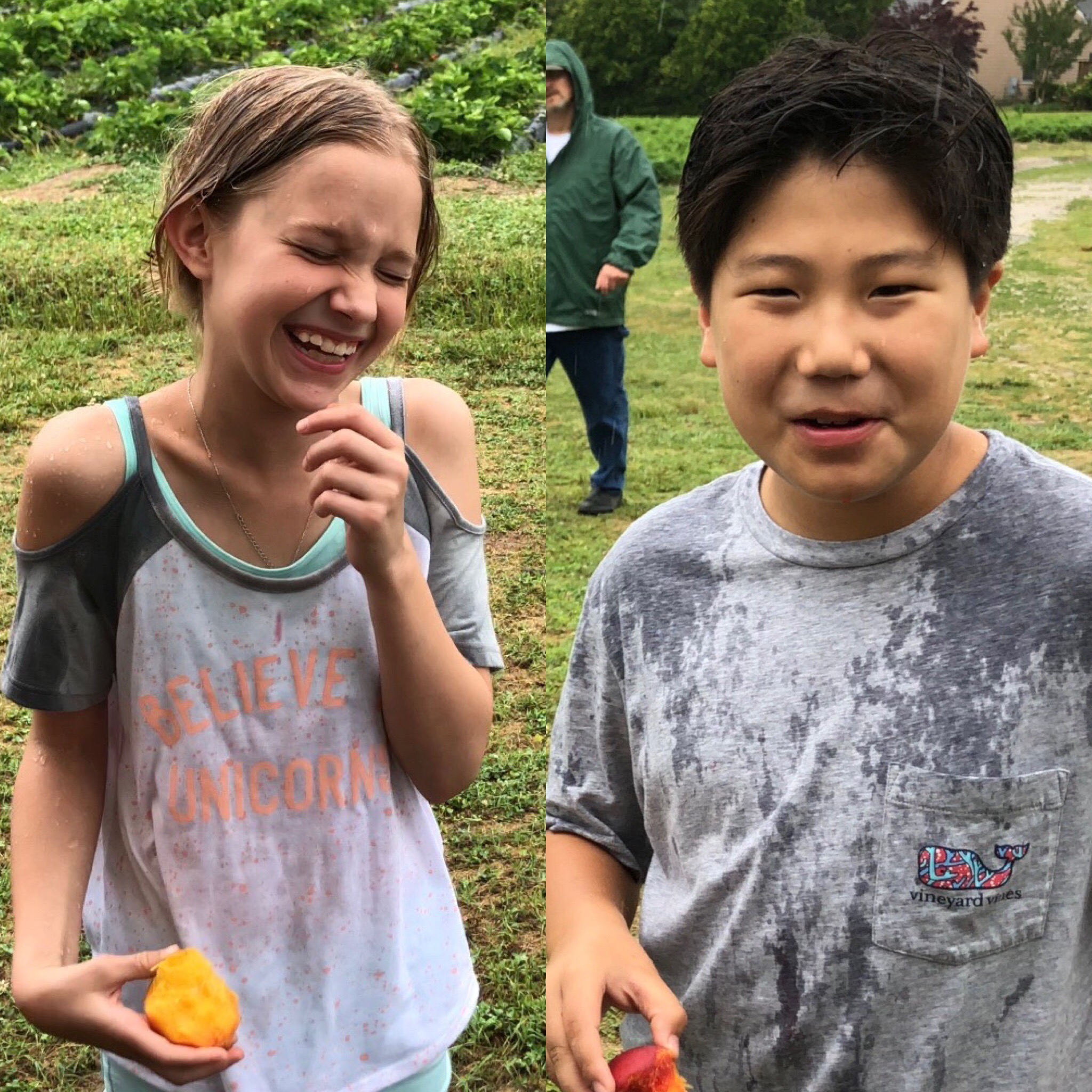 Photos from Strawberry Picking 2018