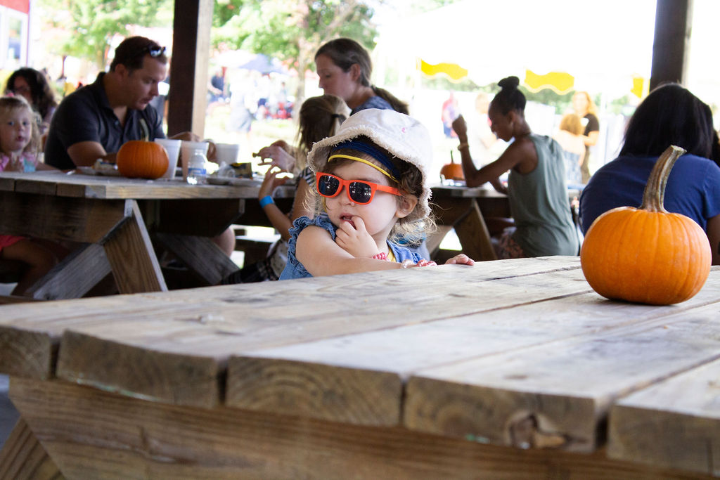 Photos from Pumpkin Pickin' at Hill Ridge Farms