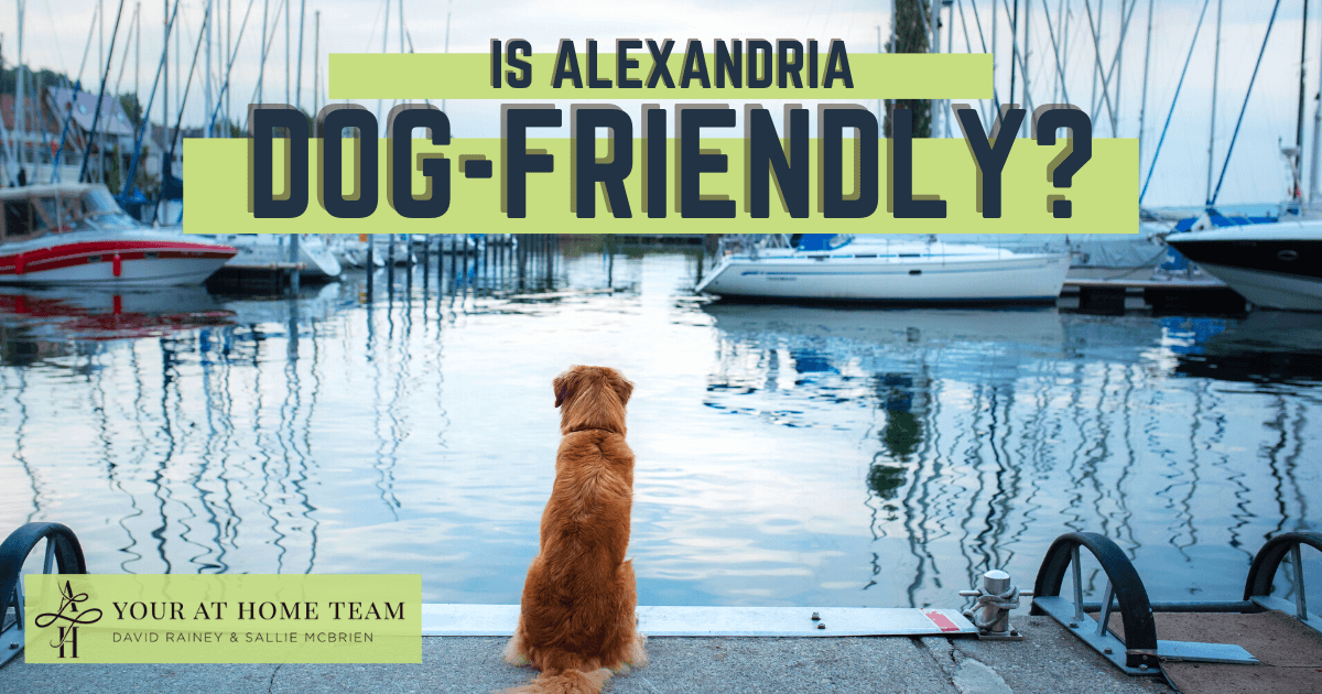 Things to Do With Dogs in Alexandria, VA