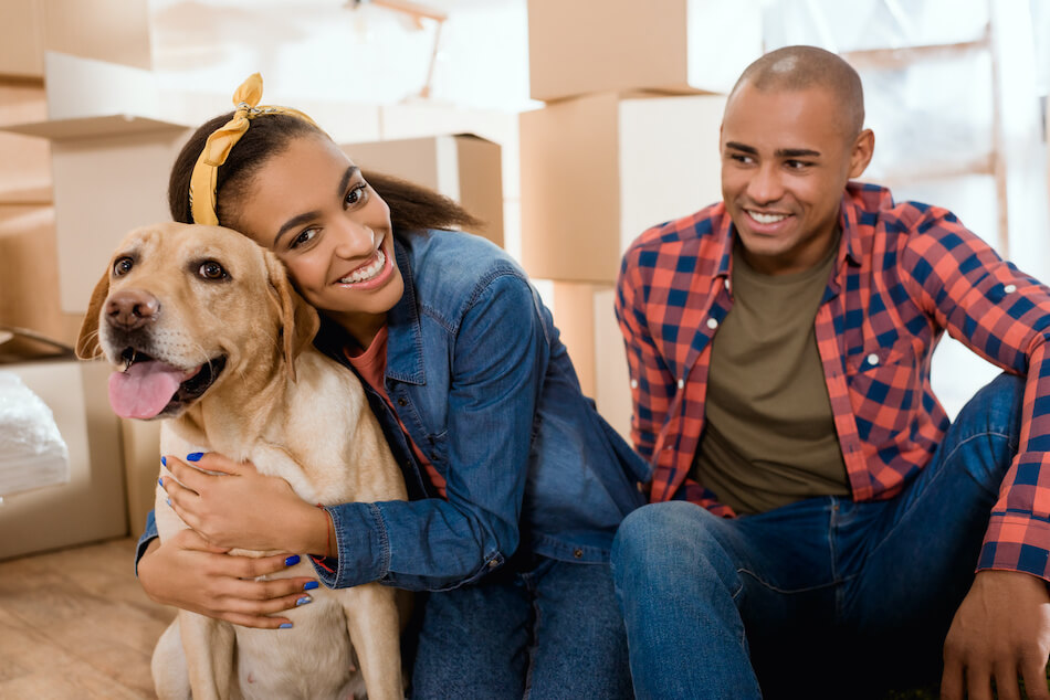 Tips to Keep Pets Safe During a Move
