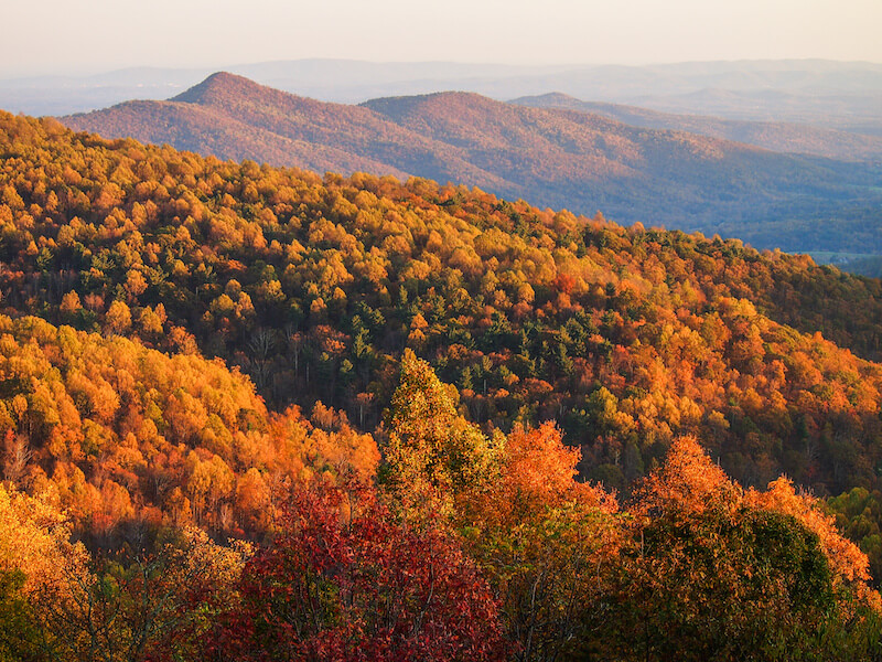Autumn Climate & Weather in Shenandoah National Park, Northern Virginia