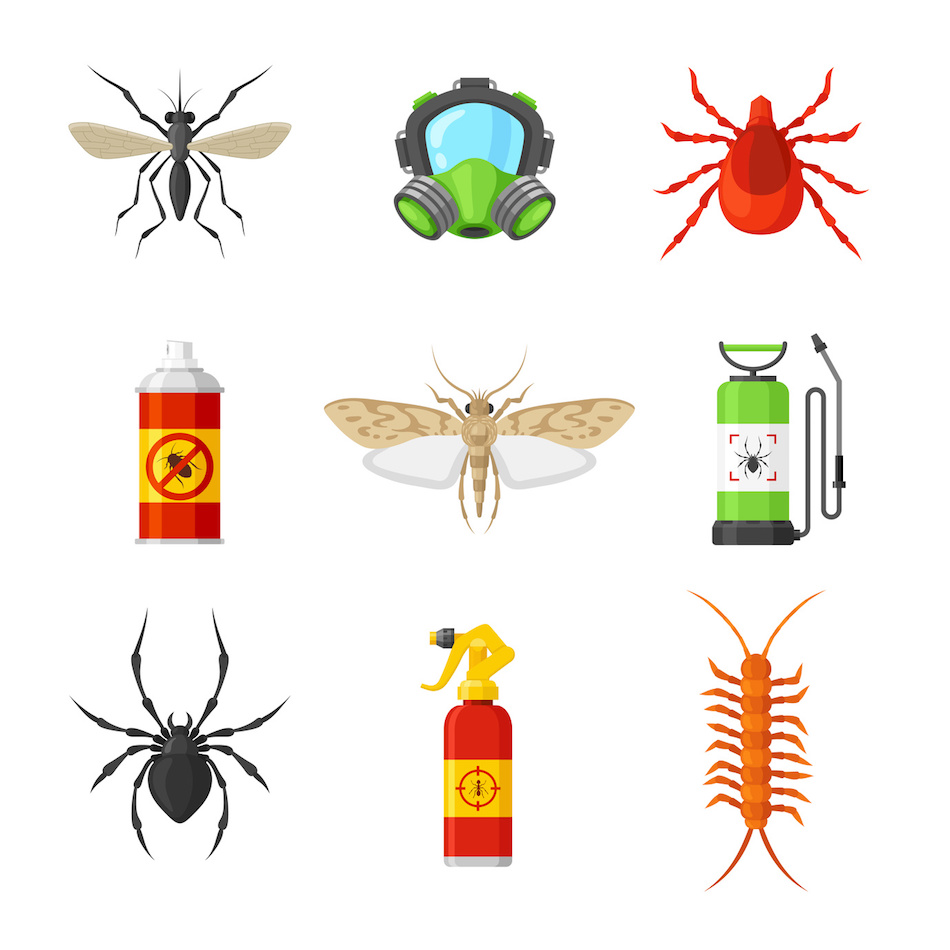 Pest Exterminator In Phoenix