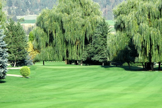 View of the green