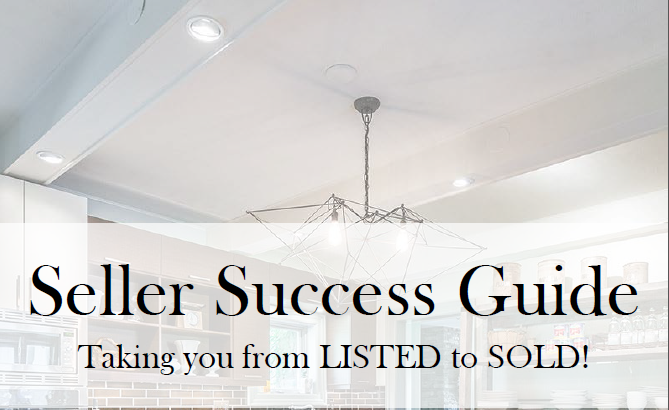 Seller Success Guide